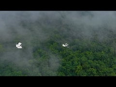 صندوق غداء سيليكون